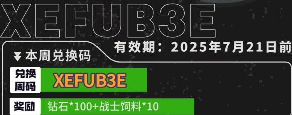小鸡舰队出击兑换码2025最新