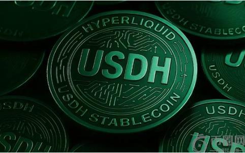 稳定币USDH制度路线之争：Hyperliquid未来叙事的关键抉择