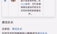 我的世界灾厄村民旗帜有什么用