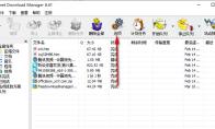 IDM下载器如何取消浮动条