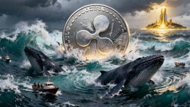 XRP巨鲸转移8亿美元——散户投资者为何纷纷涌向公平预售