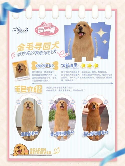 以闪亮之名 圣诞有啥新惊喜