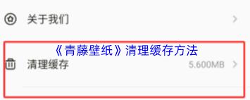 青藤壁纸如何清理缓存