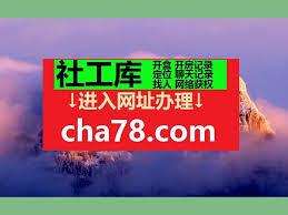 如何查询b站uid对应的手机号