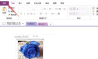 OneNote如何设置纸张大小