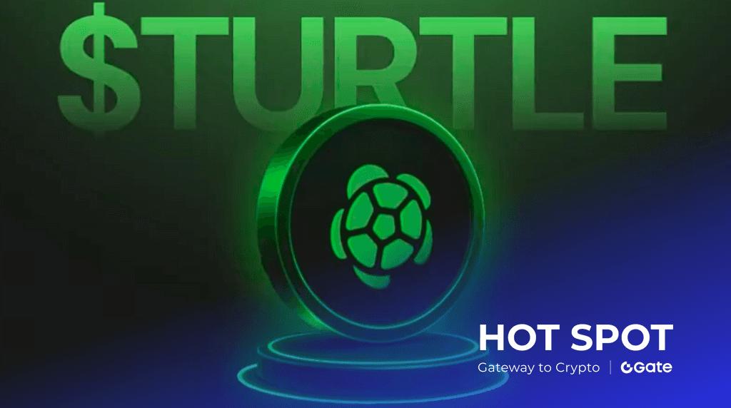 币安 HODLer 空投 TURTLE 全解析：时间、收益与风险指南