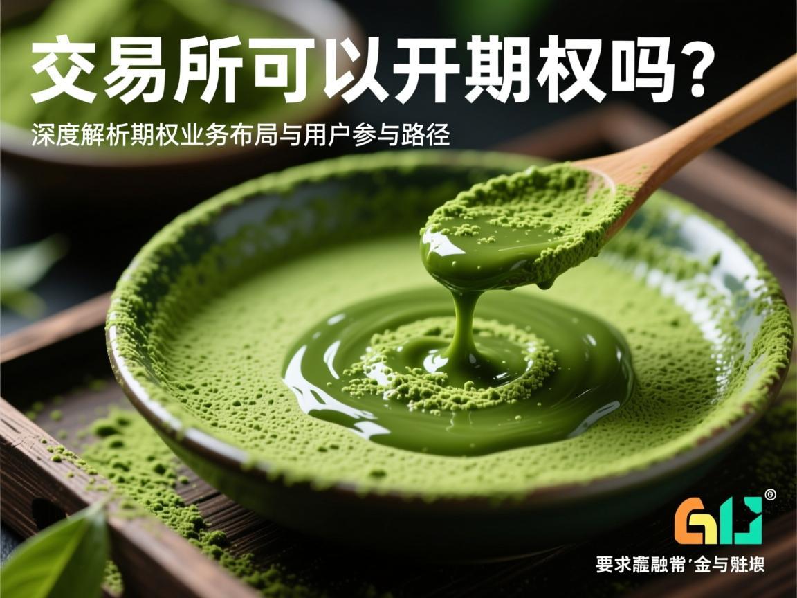 抹茶交易所可以开期权吗 深度解析期权业务布局与用户参与路径