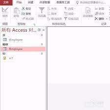 access如何设置窗体页眉标签