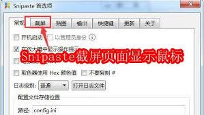 Snipaste截屏页面鼠标如何显示