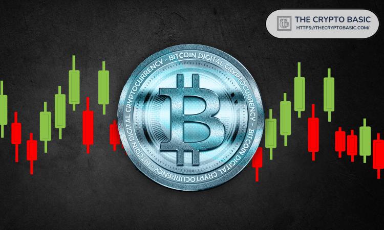 比特币持续数周下跌，逼近关键的50周均线：分析师称“时机已到”