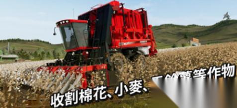 高人气农场游戏下载哪些 2025流行的农场手游合集