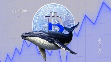比特币价格即将暴跌 中本聪时代的巨鲸抛售了 12,000 枚比特币