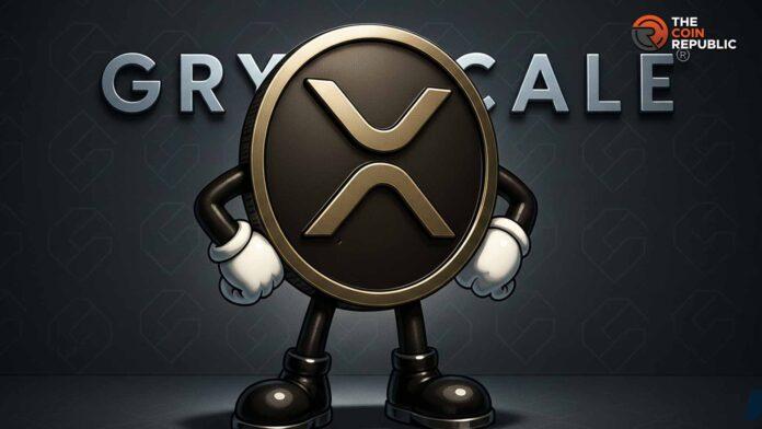 Ripple 新闻：灰度 XRP Trust 和现货 XRP 的主要区别如下