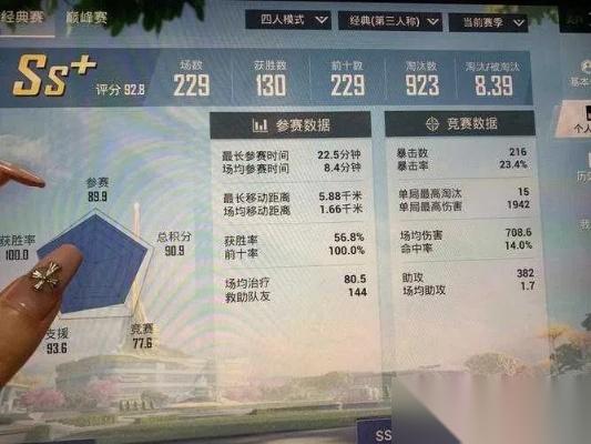 绝地求生战绩怎么看 从查询到解析的完整攻略