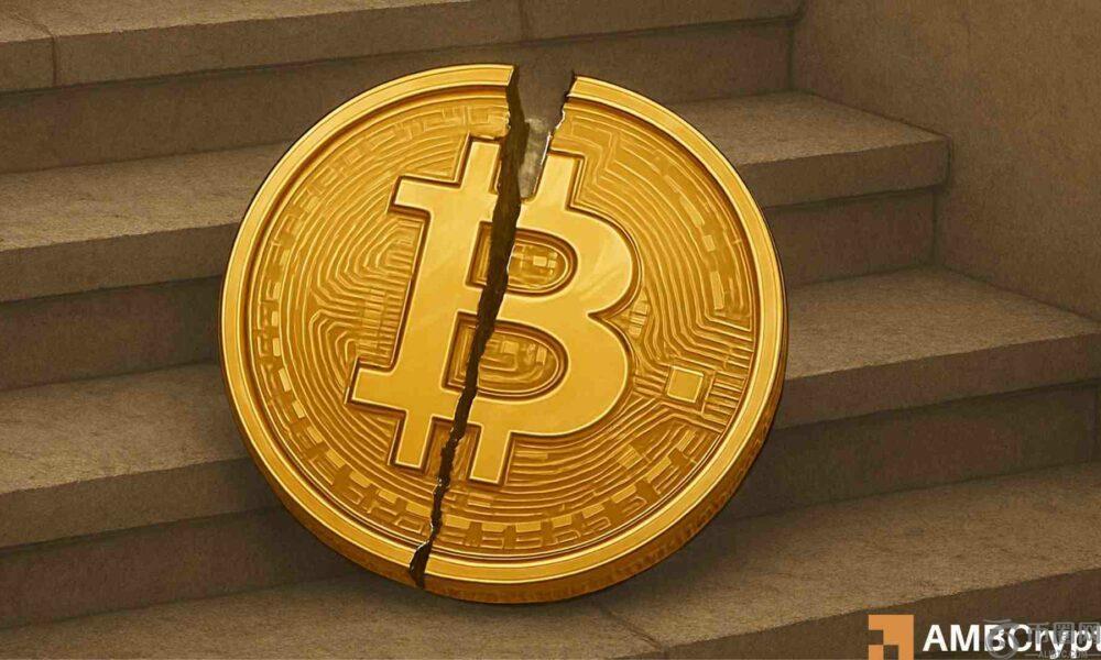 Bitwise首席执行官称比特币的第四周期将会打破——“2026年将是开放的一年”。
