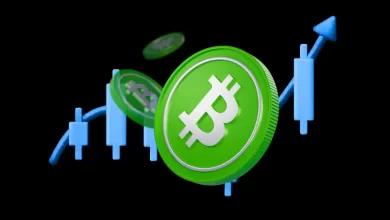 比特币现金价格今日为何上涨 BCH币价飙升近10%