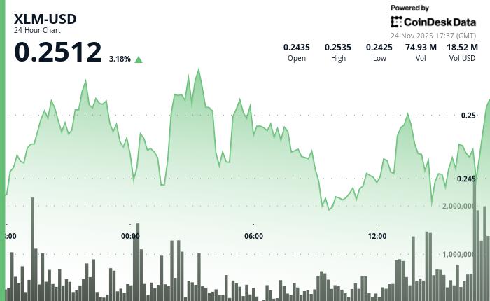 Stellar股价上涨3.5%至0.25美元，技术性反弹势头增强。