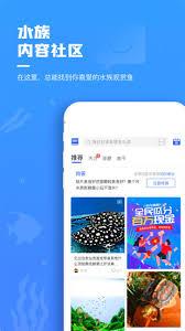 如何在鲲天下获得积分