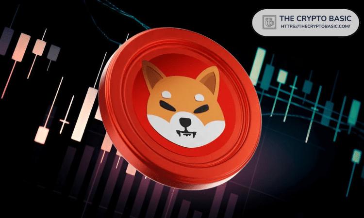 柴犬能否再次上演白手起家的奇迹，还是机会已经错失