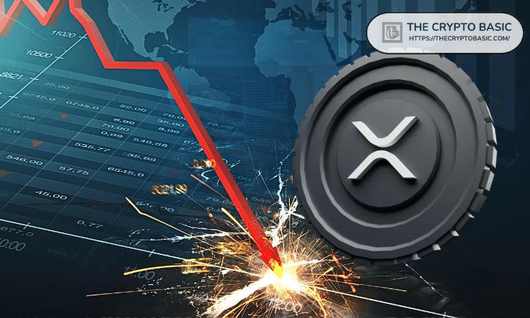 XRP首席执行官称XRP价格疲软只是暂时的