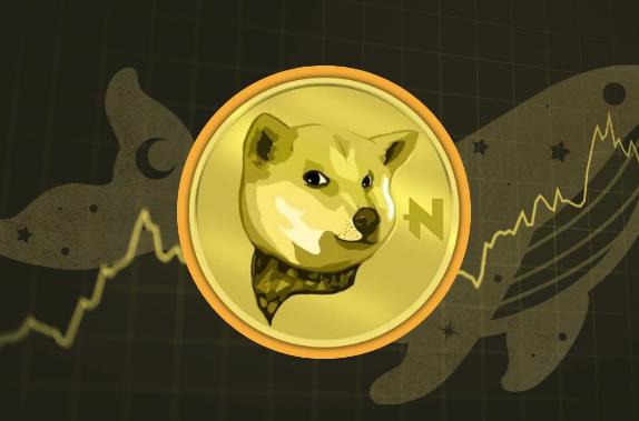 NEIRO币是什么 是否值得投资 应如何评估其风险与潜力