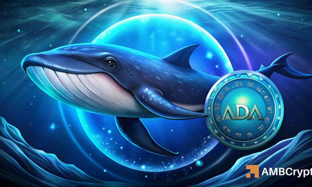 巨鲸买入价值 250 万美元的 Cardano (ADA) 后，Cardano 价格能否反弹