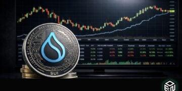 Sui 指出加密货币金库正在成为活跃的协议运营商——这为何至关重要