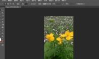 Photoshop CS6怎么关闭照片