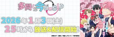 简单网官网入口2026是什么