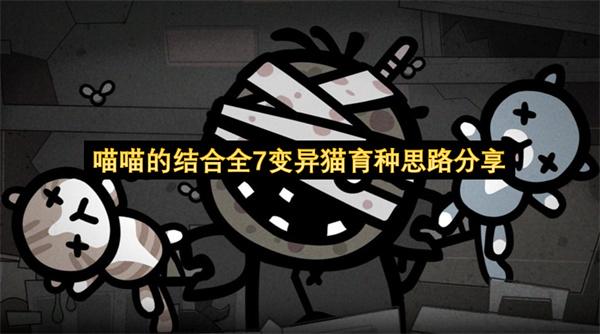 喵喵的结合全7变异猫育种思路分享