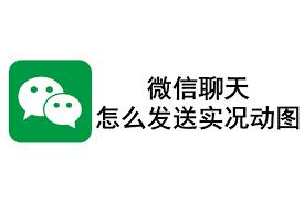 微信聊天怎么发实况图片