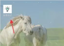 反思日记app如何制作个人月度计划