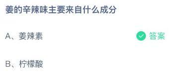 姜的辛辣味主要源自何种成分