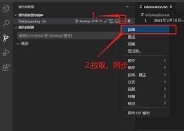 VSCode中git时间线视图为何不显示作者
