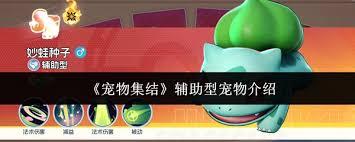 宠物集结辅助型宠物怎么样
