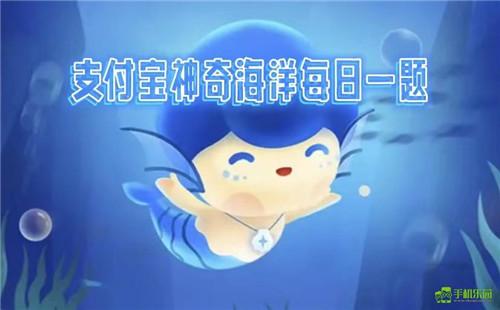 蚂蚁森林神奇海洋2026年3月19日答案