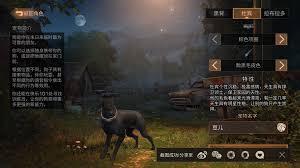 开局一个人宠物绝技怎么选