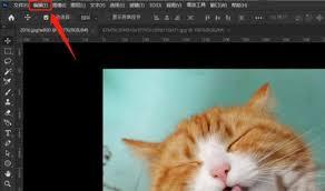 如何在ps中清理剪贴板