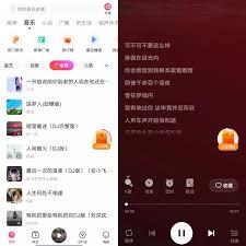 番茄音乐如何查看播放历史