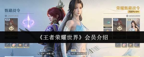 王者荣耀世界 会员介绍