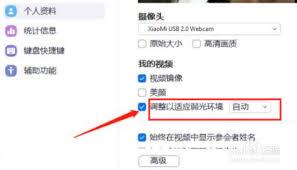 Zoom如何设置自适应弱光环境模式