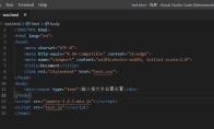 vscode文本框怎么设置输入内容与边框的距离