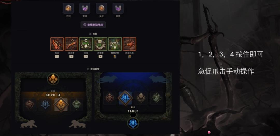 暗黑4S14灵巫反击毒虫BD攻略