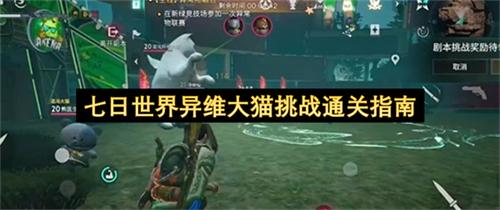 七日世界异维大猫挑战通关指南