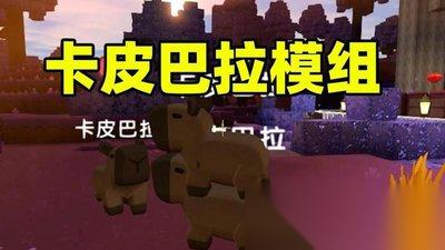 红色沙漠沙布骆驼坐骑怎么获取