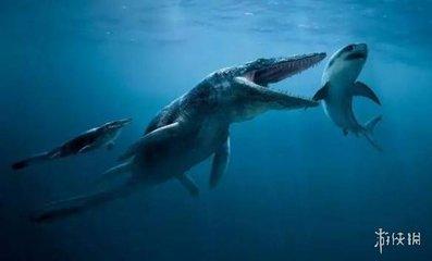 海洋游泳动物有哪些种类