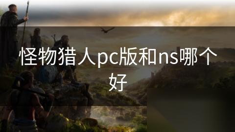 怪物猎人pc版和ns哪个好