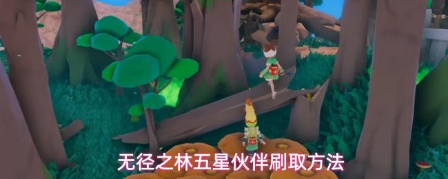 无径之林五星伙伴怎么刷取五星伙伴刷取方法