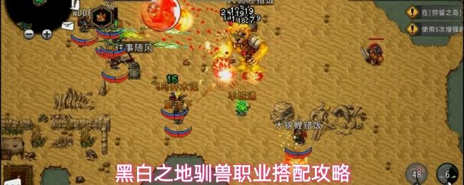 黑白之地驯兽职业玩法驯兽职业搭配攻略